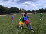 Click to see P9160046.JPG